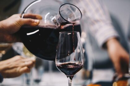 À quelle température faut-il servir le vin Astuces pour une bonne dégustation