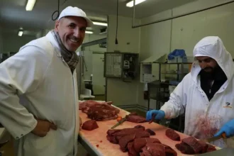 Viande de taureau fraîche dans une boucherie en ligne