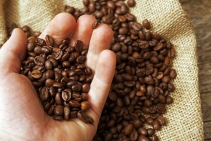 Comment reconnaitre un café bio