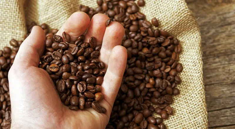 Comment reconnaitre un café bio