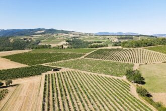 Les secrets de la région du Beaujolais