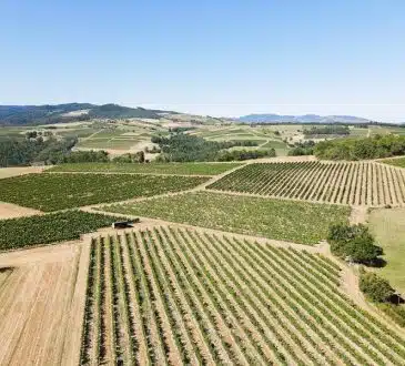 Les secrets de la région du Beaujolais