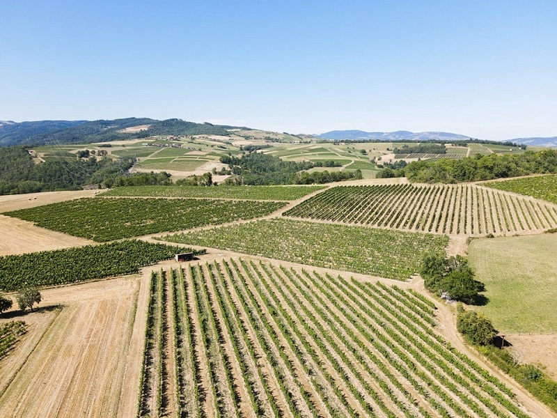 Les secrets de la région du Beaujolais