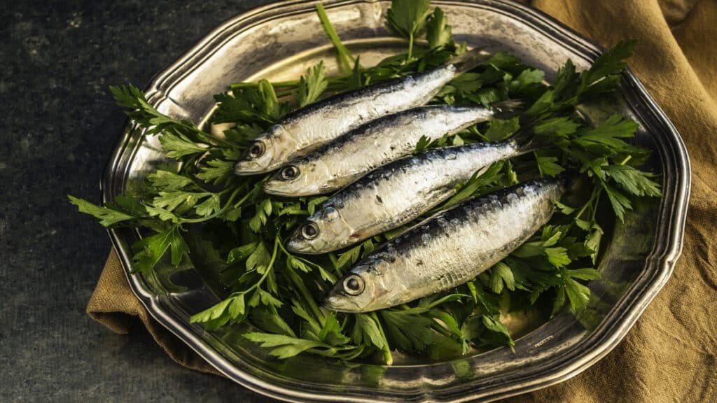 Pourquoi la sardine estelle toujours autant plébiscitée ? Madame