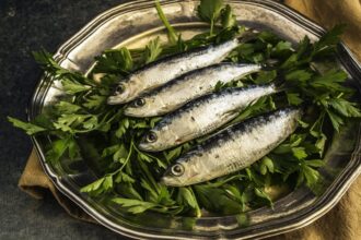 Sardines en conserve prêtes à être dégustées