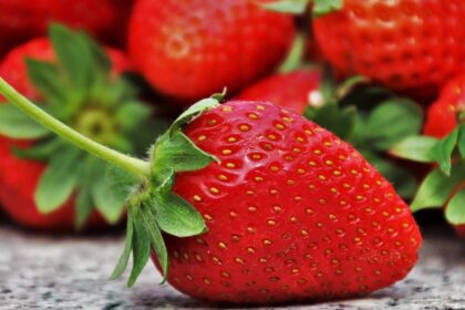 Faire ses courses au marché de Bordeaux, c’est meilleur pour la santé