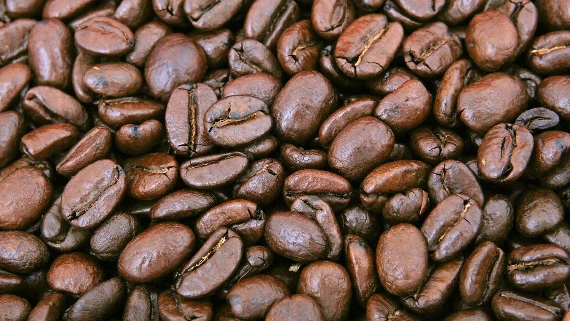 Il existe une box pour profiter d'un bon café !