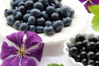 Les avantages de la crème de cassis de Dijon