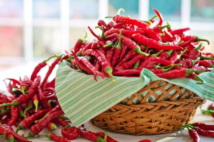 Les piments les plus forts du monde : une aventure épicée !