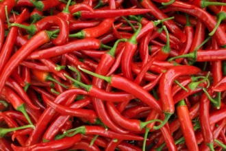 Piment de Cayenne sur une planche à découper avec épices environnantes