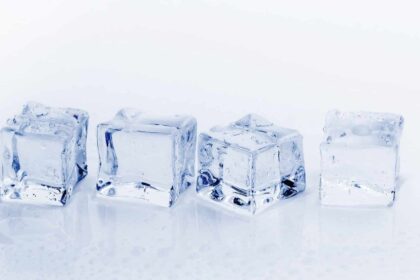 Pourquoi cette armoire réfrigérée négative est-elle indispensable ?