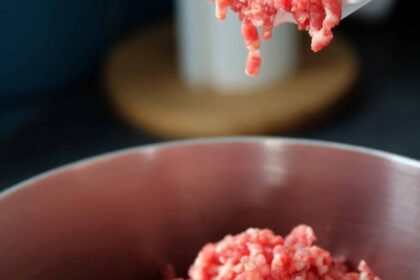 Tout ce qu'il faut savoir sur le hachoir électrique